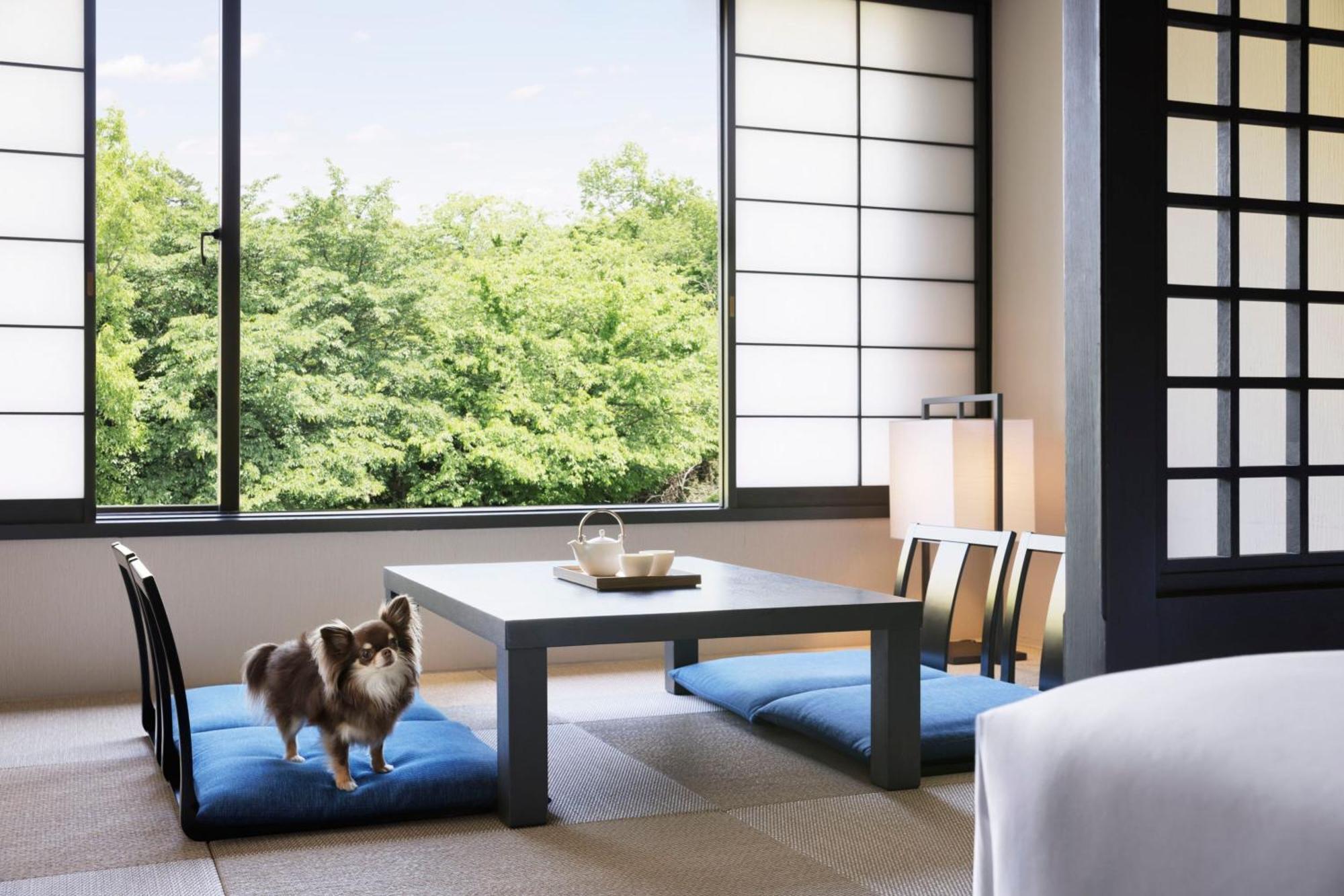 Izu Marriott Hotel Shuzenji Luaran gambar