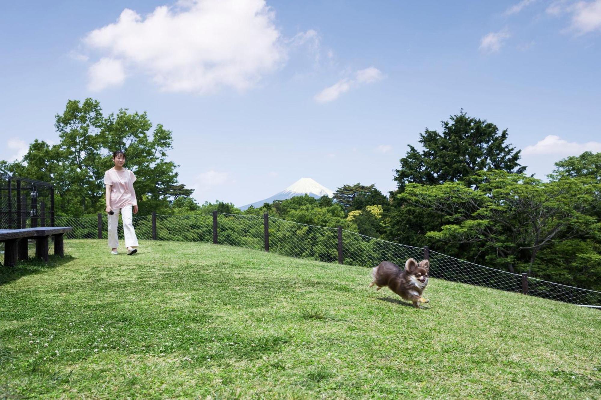 Izu Marriott Hotel Shuzenji Luaran gambar