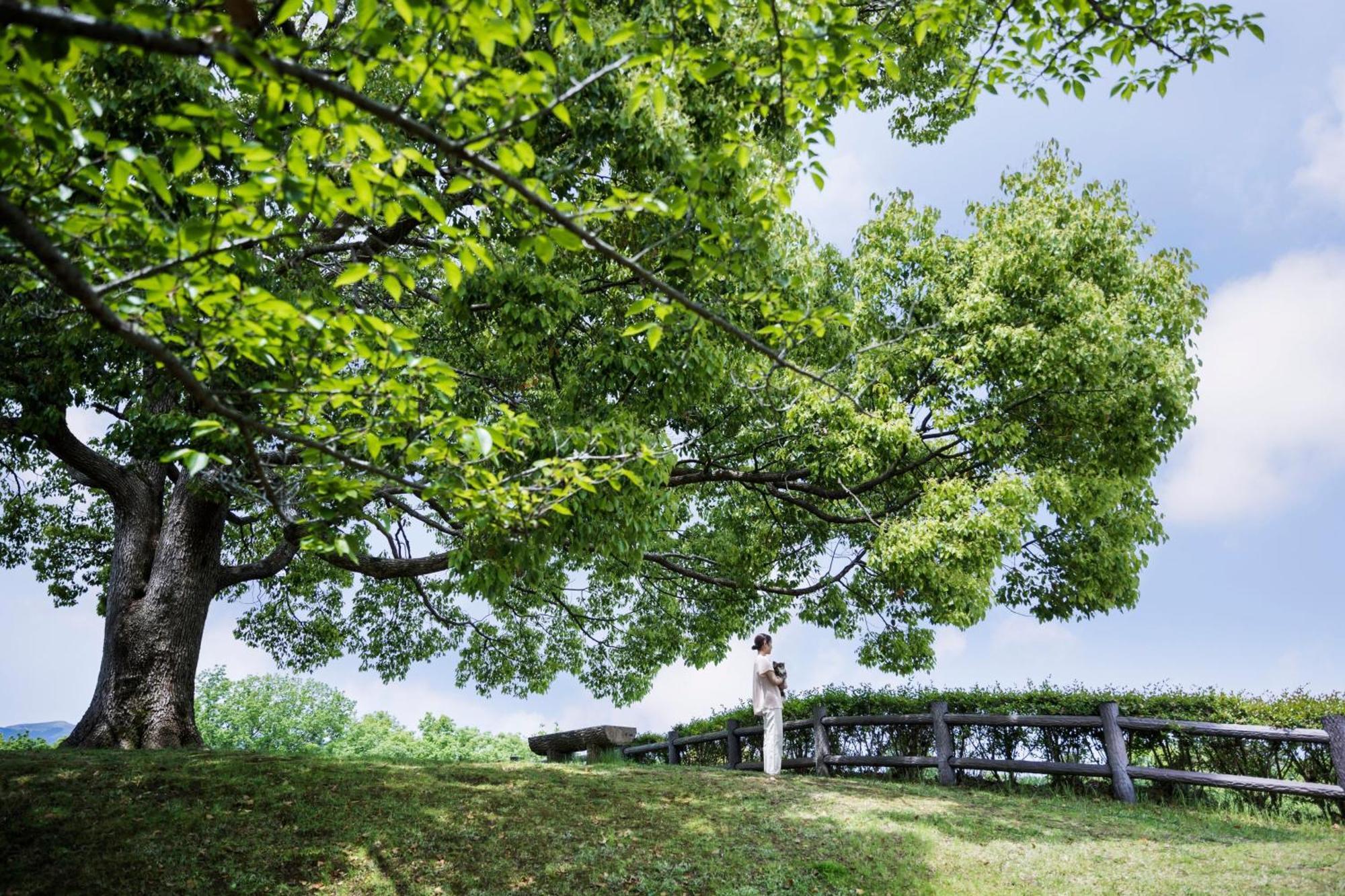 Izu Marriott Hotel Shuzenji Luaran gambar
